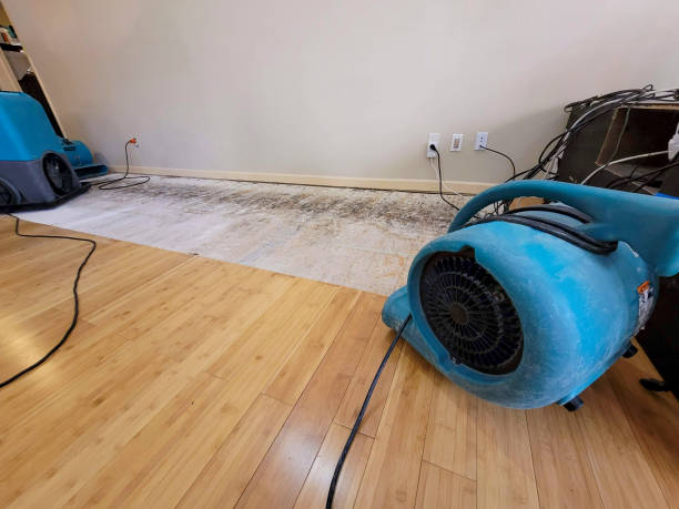Reliable Basement Flood Cleanup contractor in Levasy, MO by Hirex Water Damage