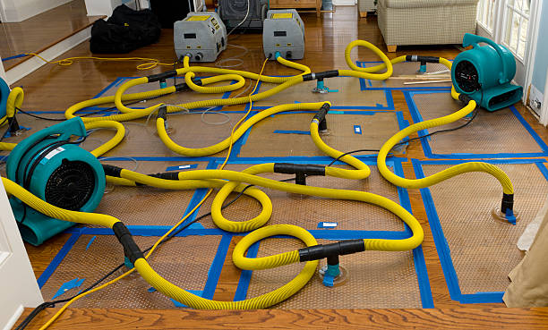 Professional Basement Flood Cleanup technician working in Levasy, MO