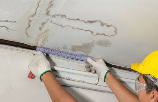 Affordable Basement Flood Cleanup solutions in Levasy, MO